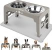 Elevated Dog Bowls for Small Dogs and Cats with Mat, Non-Slip Cat Bowls with 2 Thick 5.5" Stainless Steel Dishes