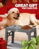 Elevated Dog Bowls for Small Dogs and Cats with Mat, Non-Slip Cat Bowls with 2 Thick 5.5" Stainless Steel Dishes