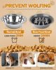 Elevated Dog Bowls for Small Dogs and Cats with Mat, Non-Slip Cat Bowls with 2 Thick 5.5" Stainless Steel Dishes