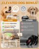 Elevated Dog Bowls for Small Dogs and Cats with Mat, Non-Slip Cat Bowls with 2 Thick 5.5" Stainless Steel Dishes