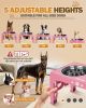 Elevated Dog Bowls for Small Dogs and Cats with Mat, Non-Slip Cat Bowls with 2 Thick 5.5" Stainless Steel Dishes